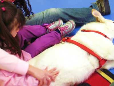 Una bambina accarezza Sky, l'altro cane dell'associazione AnimAllegra